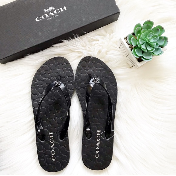coach abbigail flip flops black